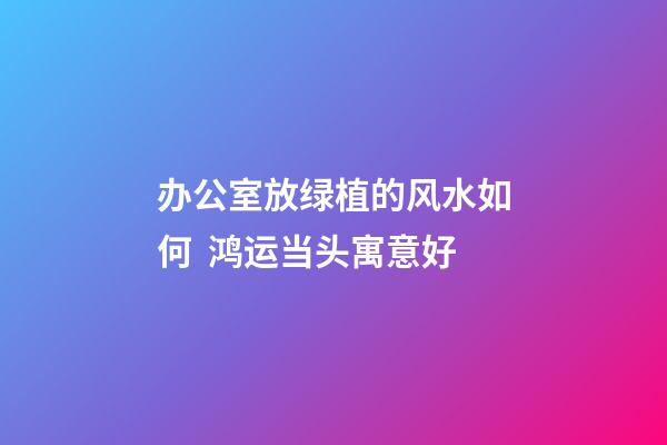 办公室放绿植的风水如何  鸿运当头寓意好